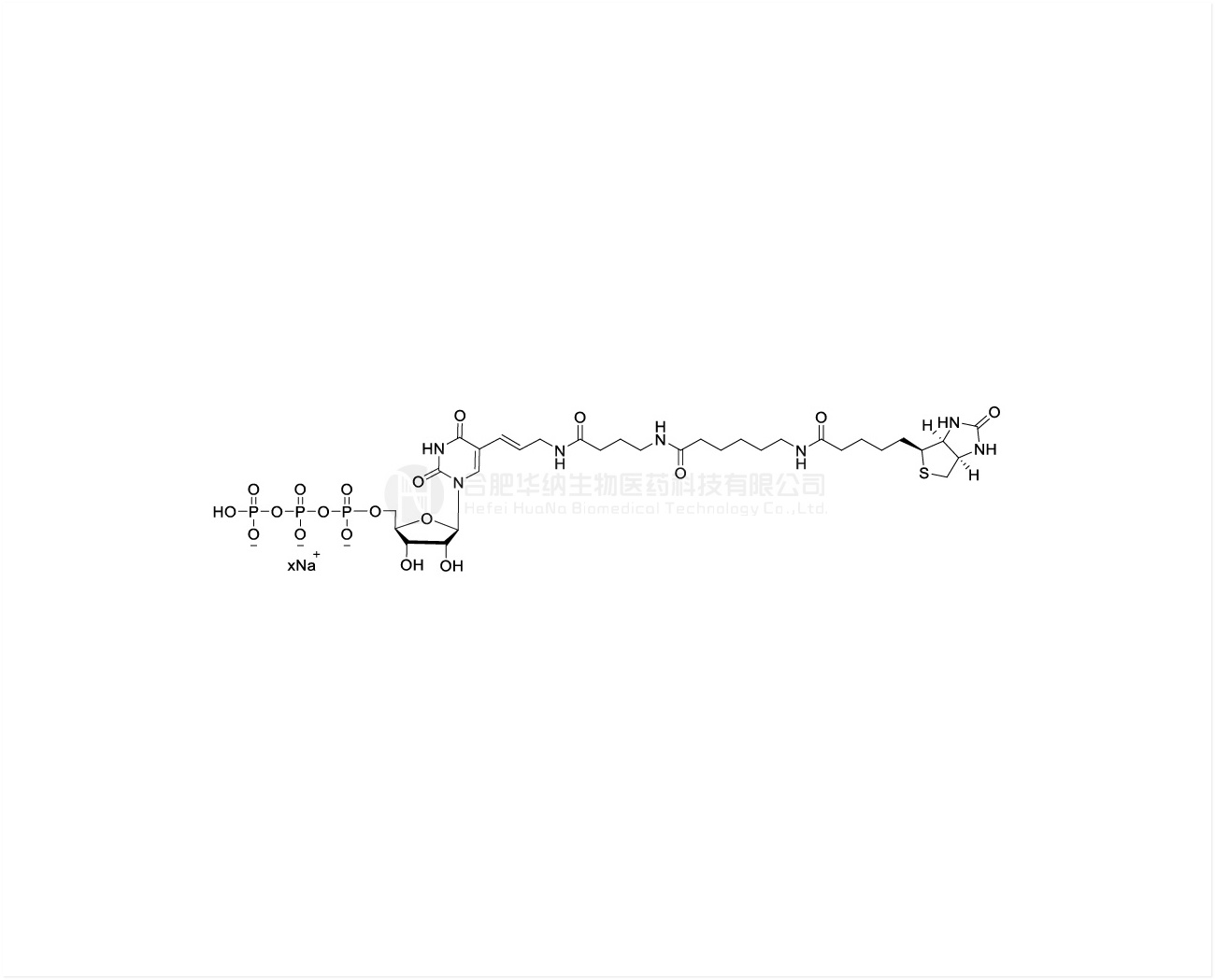 Biotin-16-UTP 10mM Sodium Solution