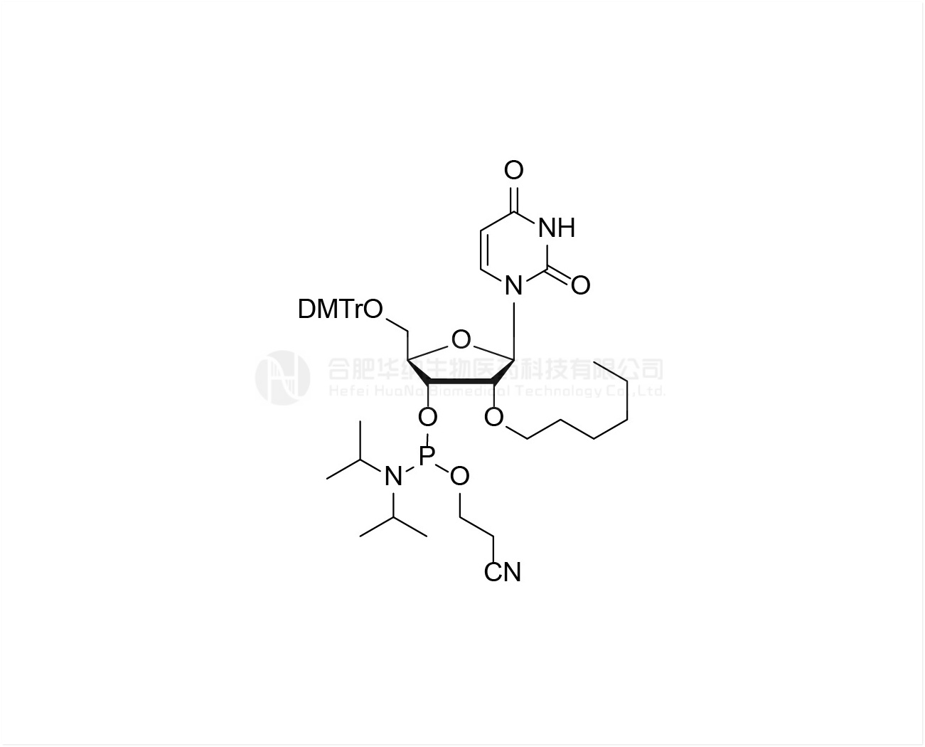 Reverse abasic phosphoramidite 