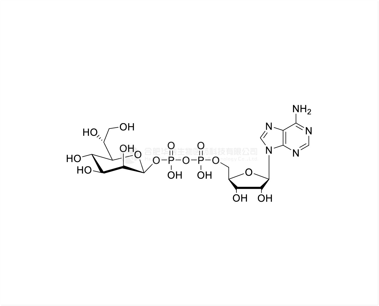 ADP-heptose