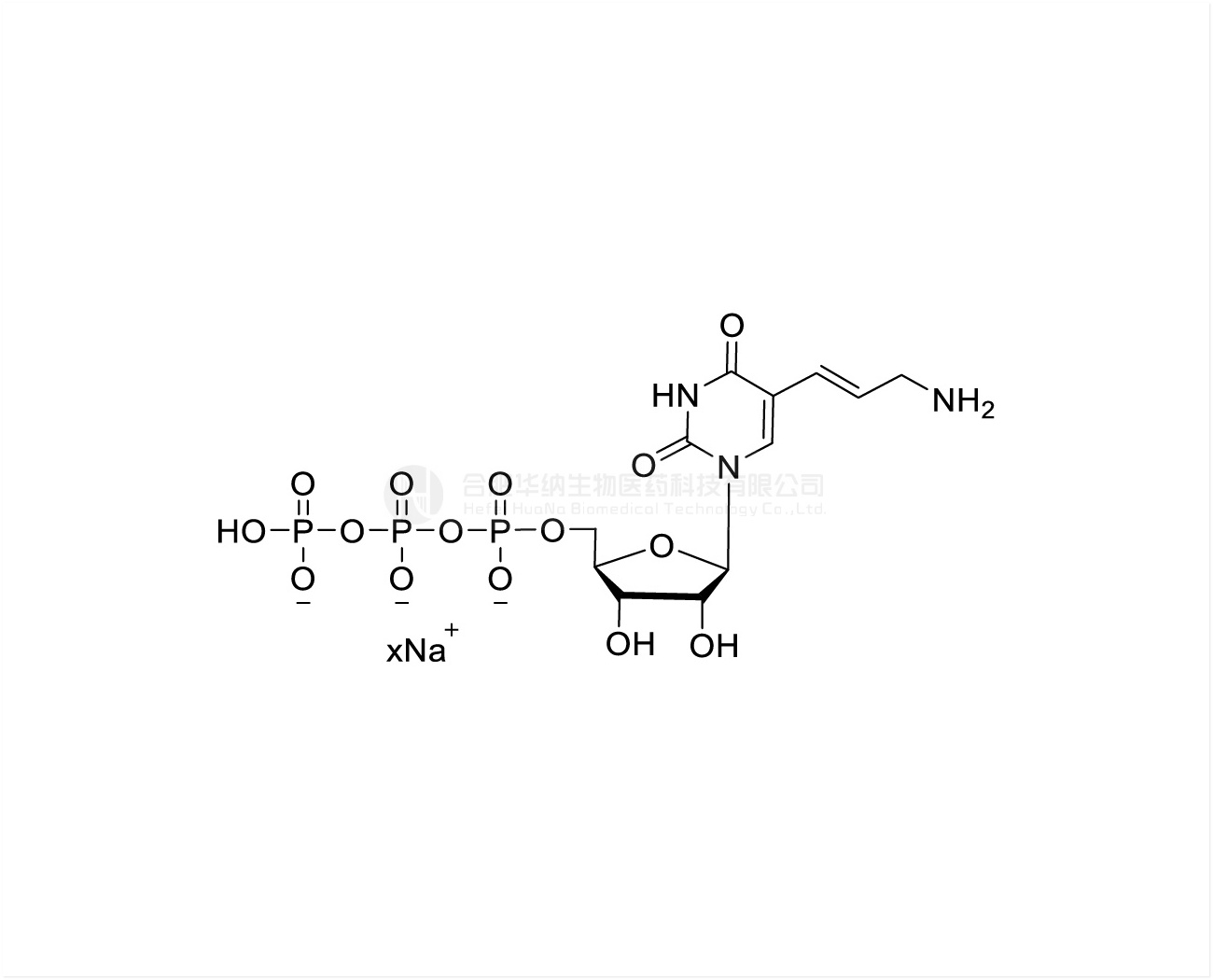 5-Aminoallyl-UTP 100mM Sodium Solution