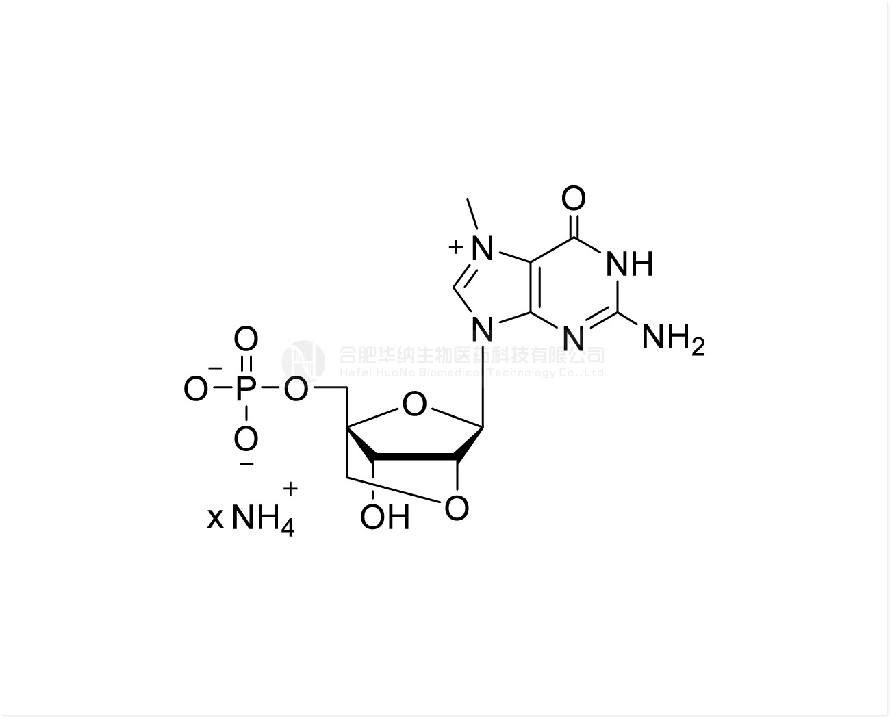 2'-O-4'-C-Locked-m7GMP 100mM Ammonium Solution