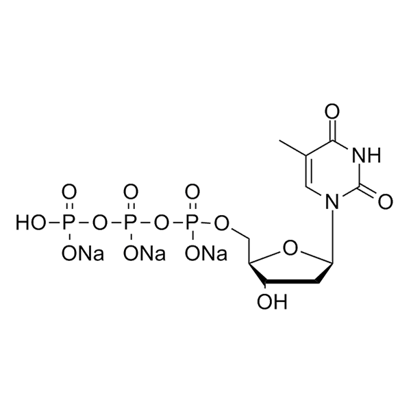 dTTP sodium salt