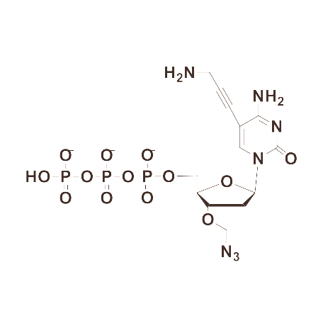 5-Propargylamino-3′-Azidomethyl-dCTP